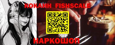 стафф Кингисепп