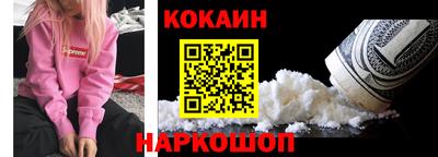 стафф Кингисепп