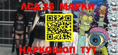 стафф Кингисепп