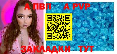 стафф Кингисепп