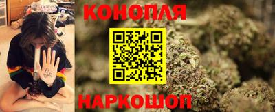 стафф Кингисепп