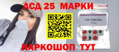стафф Кингисепп