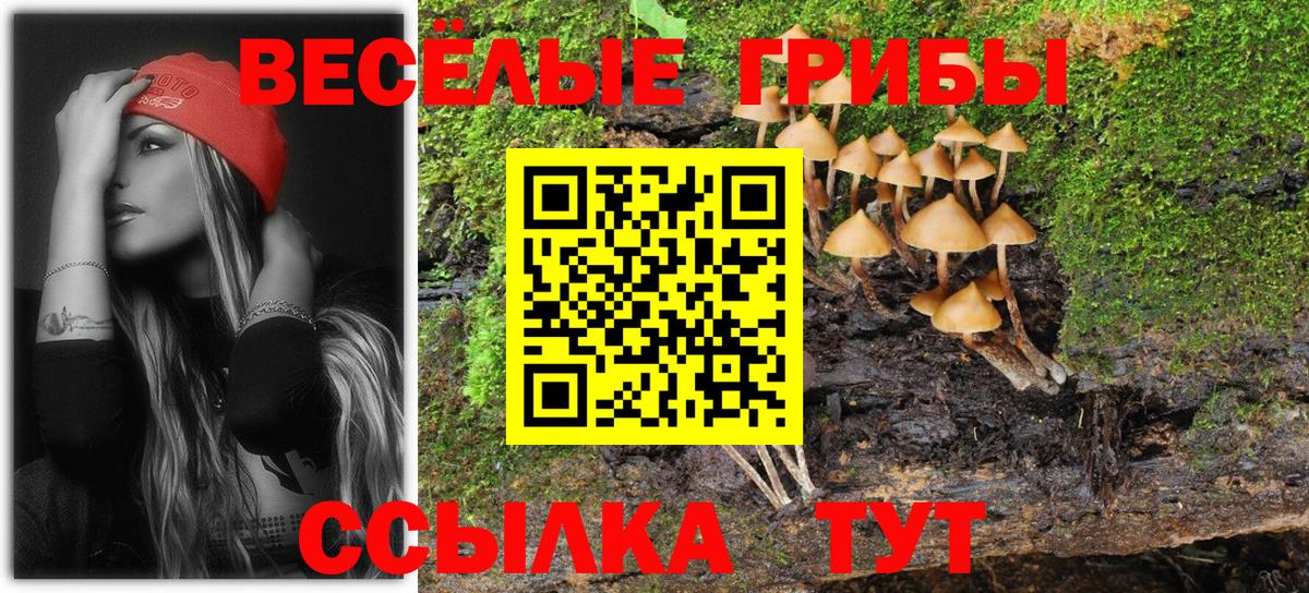 Псилоцибиновые грибы прущие грибы  Галлюциногенные грибы Psilocybe  Вход с VPN  Красный Сулин 